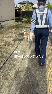 男性の横を駆け抜けていく犬