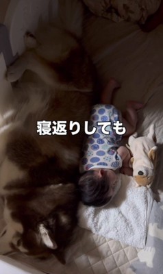 寝がえりを打っても…