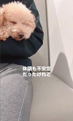 すいーぶ君の成長と変化3