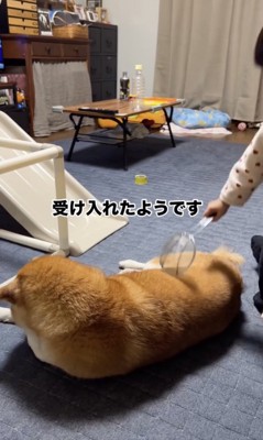 検査は続く…