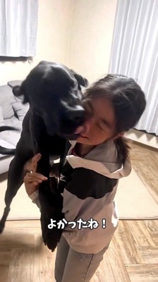 女の子の顔を舐める黒い犬