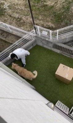 ボールを投げて