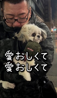 寒そうに抱っこされている犬