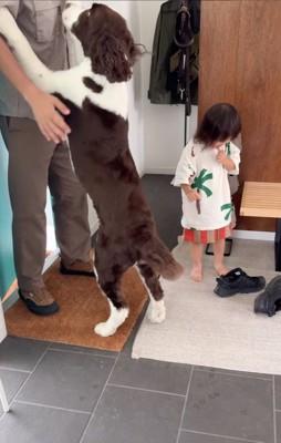 立ち上がる犬