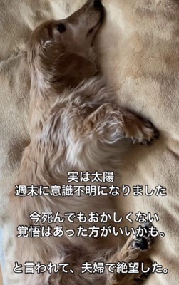 意識不明の状態に…