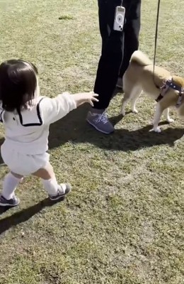 リードを持ちたいみーちゃん