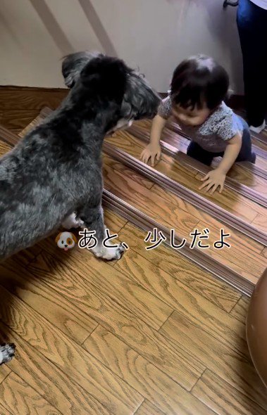 もう少しだよ!!