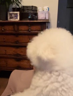 久々の再会に喜んでいる一幕でした