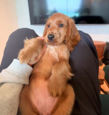 普段の可愛いペンネちゃん