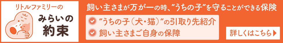 「みらいの約束」バナー