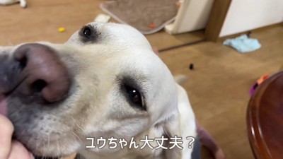 「サンもママとおしゃべりしたい！」