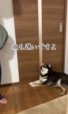 お兄ちゃんを引き止めるダンクくん2