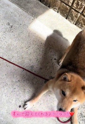 お散歩が大好きに♡