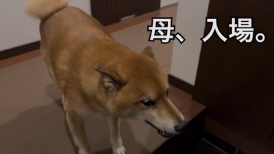熱烈大歓迎!