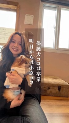 犬を抱きしめる笑顔の女性