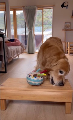 お手伝いをするホット君6