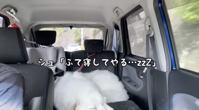 違いすぎる態度