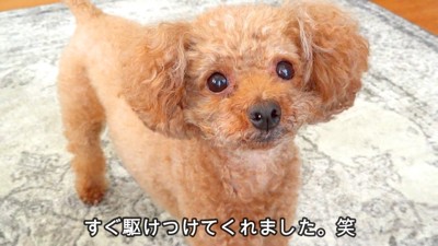 Taruto ちゃんへのドッキリ失敗8