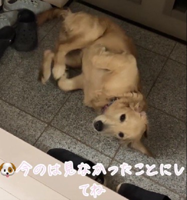 「今のは見なかったことに…」