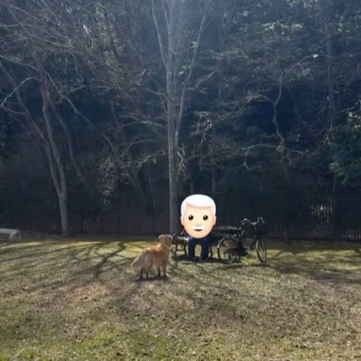 演奏を聴く大型犬