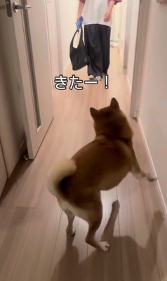 お姉ちゃんを熱烈歓迎するけいちゃん4