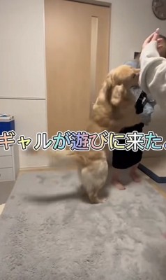 ギャルに抱き着く犬