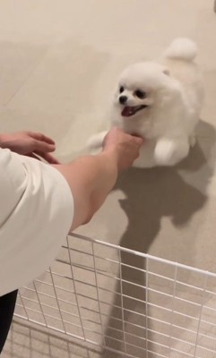 「おかえりなさい!待ってたよ~」