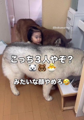 余裕たっぷりな赤ちゃん