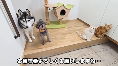 「いい子で待ってるね!」「頑張れ~!」