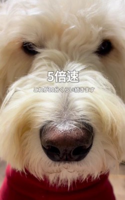 10分以上続くことも%分以上続くことも