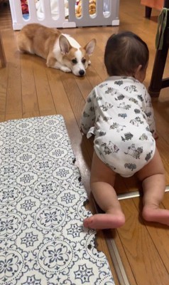 赤ちゃんを見守るまる君