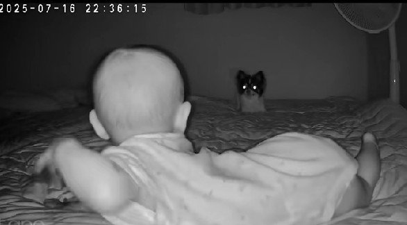 赤ちゃんを寝かしつけたあと…