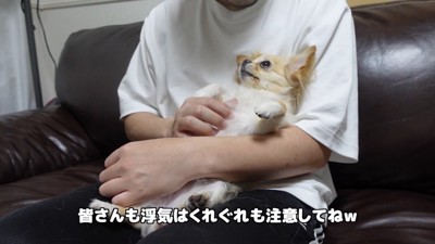 飼い主さんが浮気した時のみるくちゃん⑩