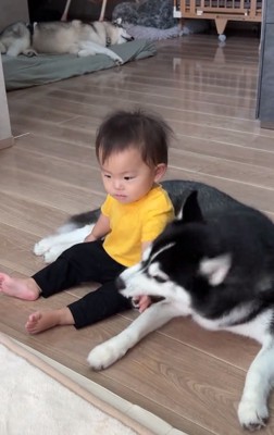 甘噛みするジジちゃん