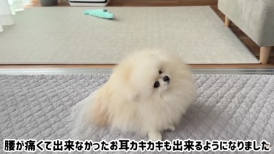 カキカキも出来るように！