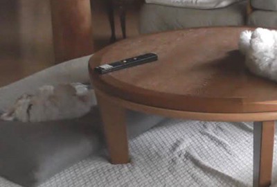 テーブルの上に何かが??