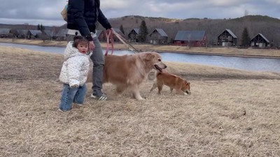 たくさん遊んだよ