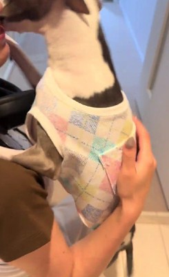 再会できてよかった