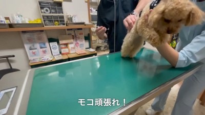 警戒してる態勢