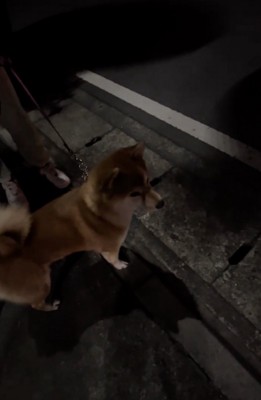 耳をすまして…