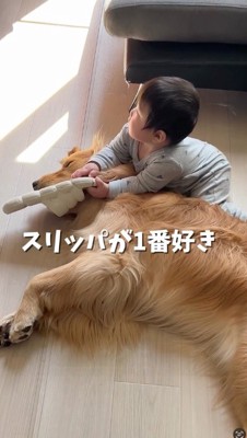 横になっている犬に寄りかかってスリッパで遊ぶ赤ちゃん