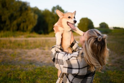 高く抱き上げられているコーギー