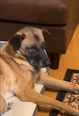 パパが熱唱している時のアキちゃん7