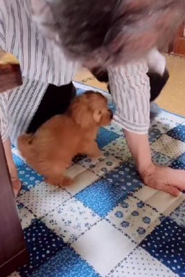 「やっと遊べる~♪」