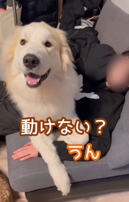 笑顔のそら君