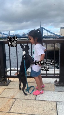 後ろ足で立ち上がった犬の前足を自分の背中に回す女の子