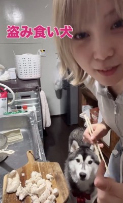 おとぼけ顔で乗り切ります