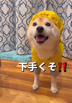 とっても似合ってる!!