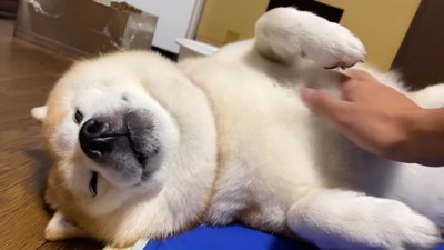 喜びがジワジワ…