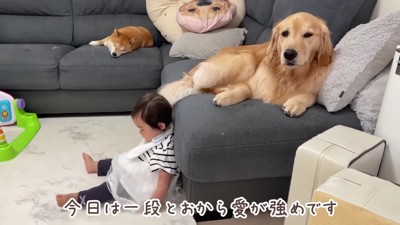 ただただじっとそばに…